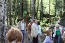 IMG_8355.JPG
