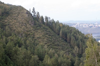 Вид на город и Енисей с верхней площадки Бобрового Лога